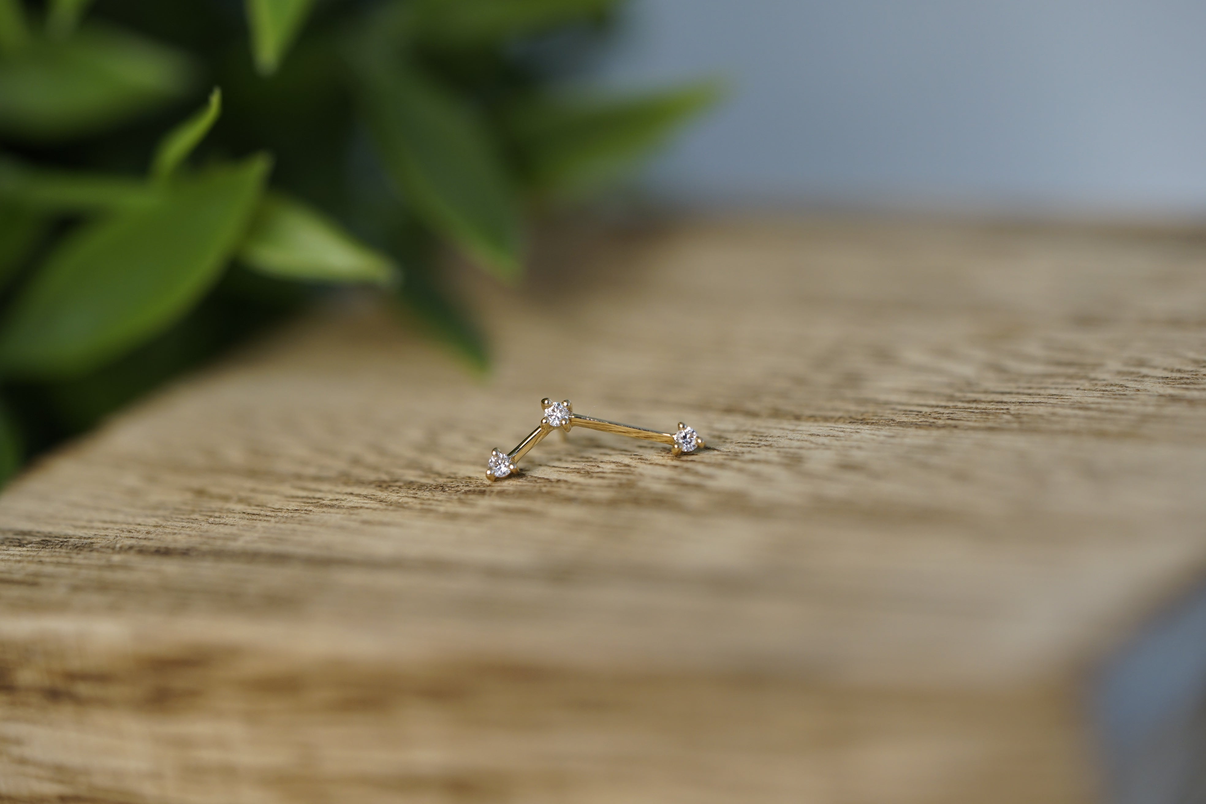 Astera (1 pin) | Tacoma's Best Piercing