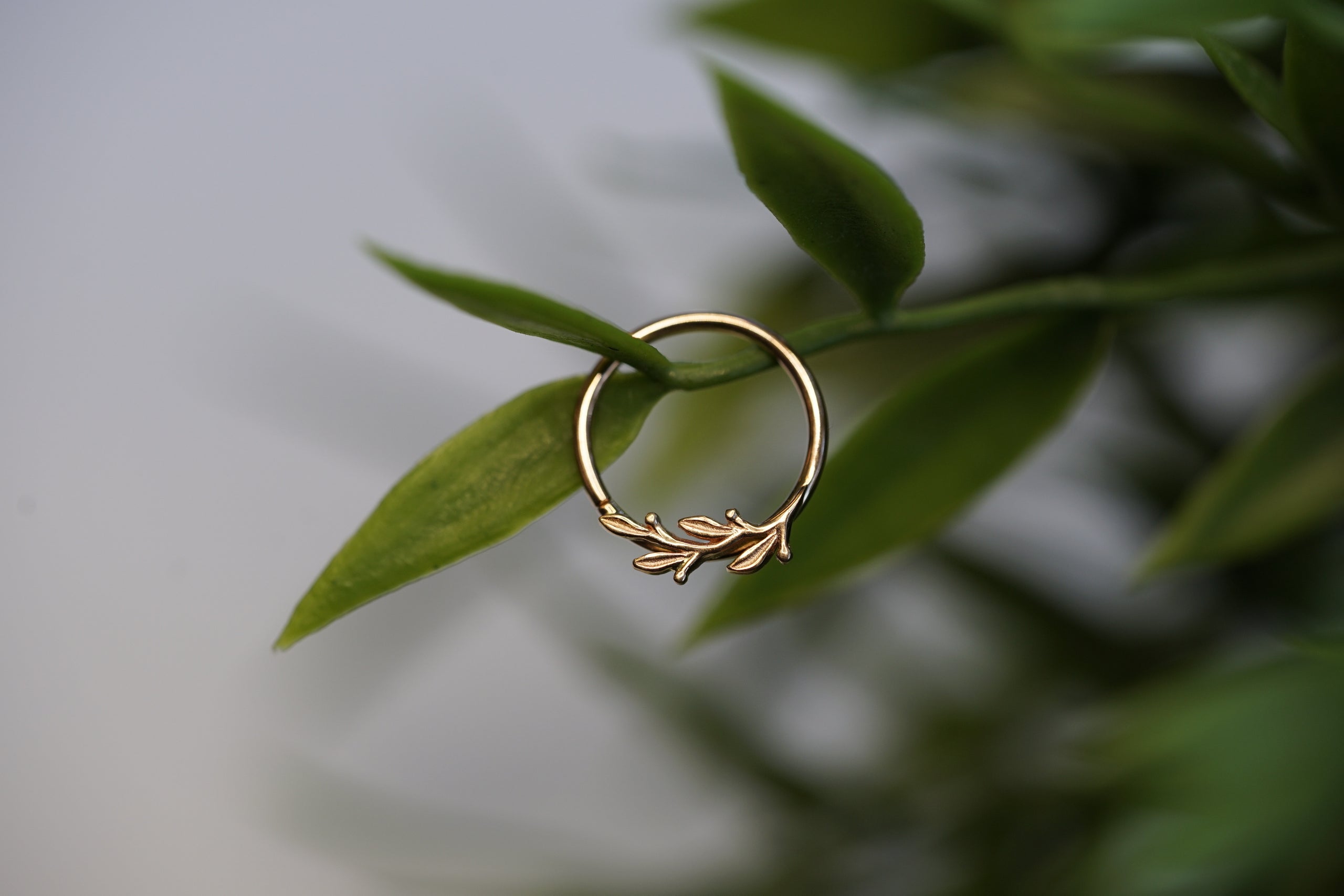 Bvla amity ring deals